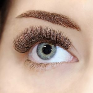 hybrid lash curl