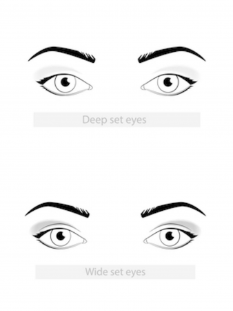 wide set eyes vs close set eyes