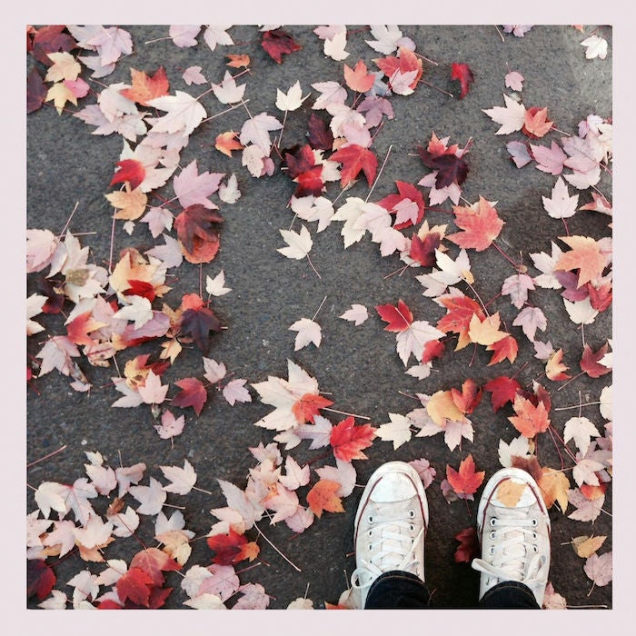 a woman's sneakers and fall leaves on ground